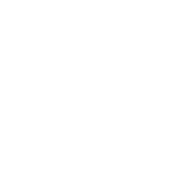 Investment-Advisors-Icon-1